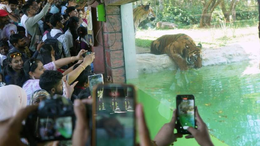 World Wildlife Day 2024 Celebrated on Sunday at Byculla zoo Mumbai See the Pictures of Tiger And Elephant