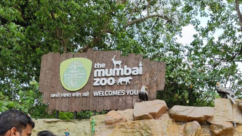  World Wildlife Day 2024 Celebrated on Sunday at Byculla zoo Mumbai See the Pictures of Tiger And Elephant 