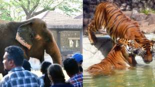 World Wildlife Day 2024 Celebrated on Sunday at Byculla zoo Mumbai See the Pictures of Tiger And Elephant
