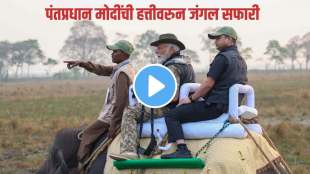 pm narendra modi takes elephant ride at assams kaziranga national park