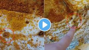 woman finds 8 cockroaches in 1 dosa at madras coffee house in delhi shares video