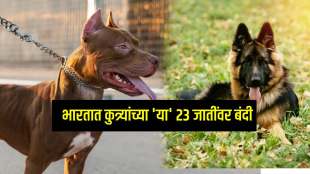 central government proposes ban on 23 dangerous dog breeds in India
