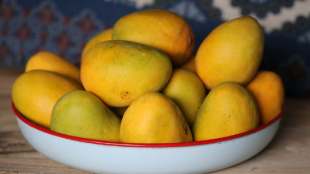Science Behind why mangoes should be soaked in water before eating
