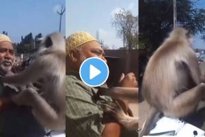 Monkey Jump On Running Scooty Funny Video