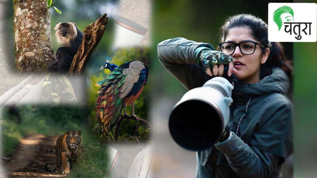 aarzoo khurana advocate and wildlife photographer documents Indias 55 tiger reserves