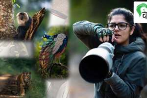 aarzoo khurana advocate and wildlife photographer documents Indias 55 tiger reserves