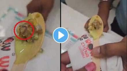 worm found in ice cream