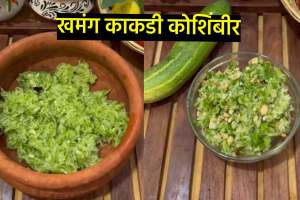 maharashtrain veg salad recipe in marathi cucumber salad khamang kakdi chi koshimbir