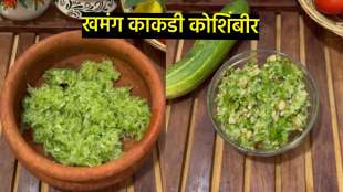 maharashtrain veg salad recipe in marathi cucumber salad khamang kakdi chi koshimbir