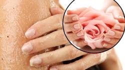 Tips For Soft Hands: कपडे धुतल्याने तुमचे हात कोरडे होतात का? ‘या’ घरगुती उपायांनी हात होतील मऊ