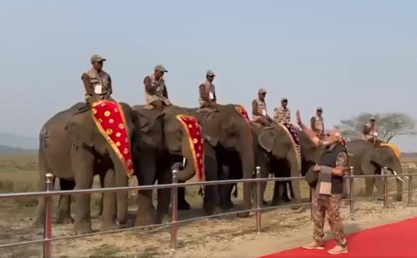 pm narendra modi enjoy jungle safari takes elephant ride at assams kaziranga national park