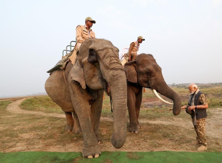 pm narendra modi enjoy jungle safari takes elephant ride at assams kaziranga national park