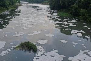 Crime against four for polluting Pavana river