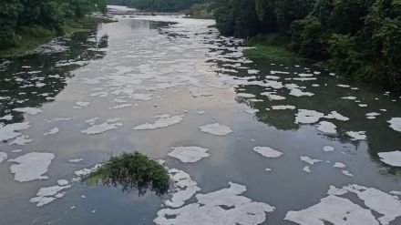 Crime against four for polluting Pavana river
