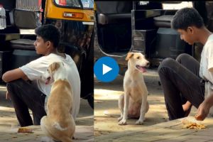 Viral video of boy helping dog