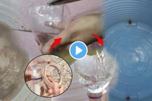 Video 5 Minutes Jugaad to Clean Water Tanki At Home Remove All Dirt Stickiness