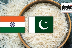 Indian Basmati stolen by Pakistan