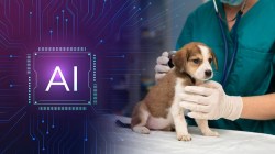AI Animal Talk : AI सांगणार प्राण्यांच्या मनात काय चाललंय?, त्यामुळे डॉक्टरांना कशी होईल मदत? जाणून घ्या…