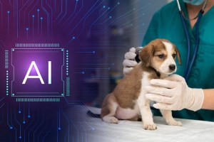 How Artificial Intelligence Helps to Talk with Animal in Marathi