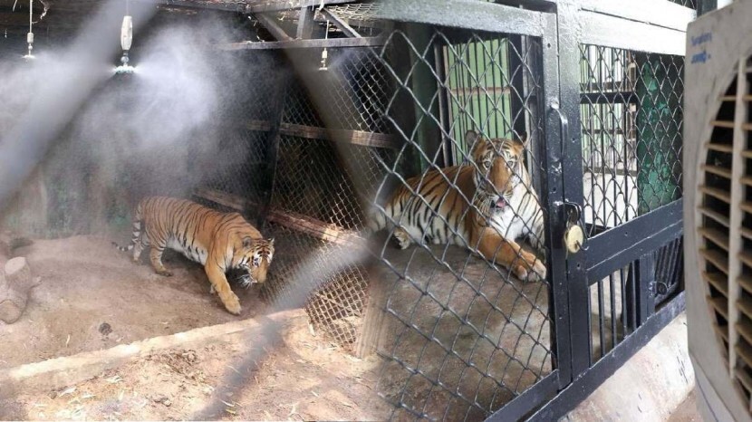 Rajiv Gandhi Zoological Park Installed air cooler and fogging machines For Animals To relief from heat