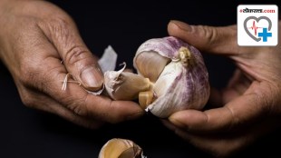 100 gram raw garlic revealing impressive impact on our lives how garlic boost your immune system said expert