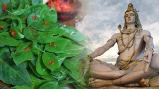 Bel Patra Lord Shiva