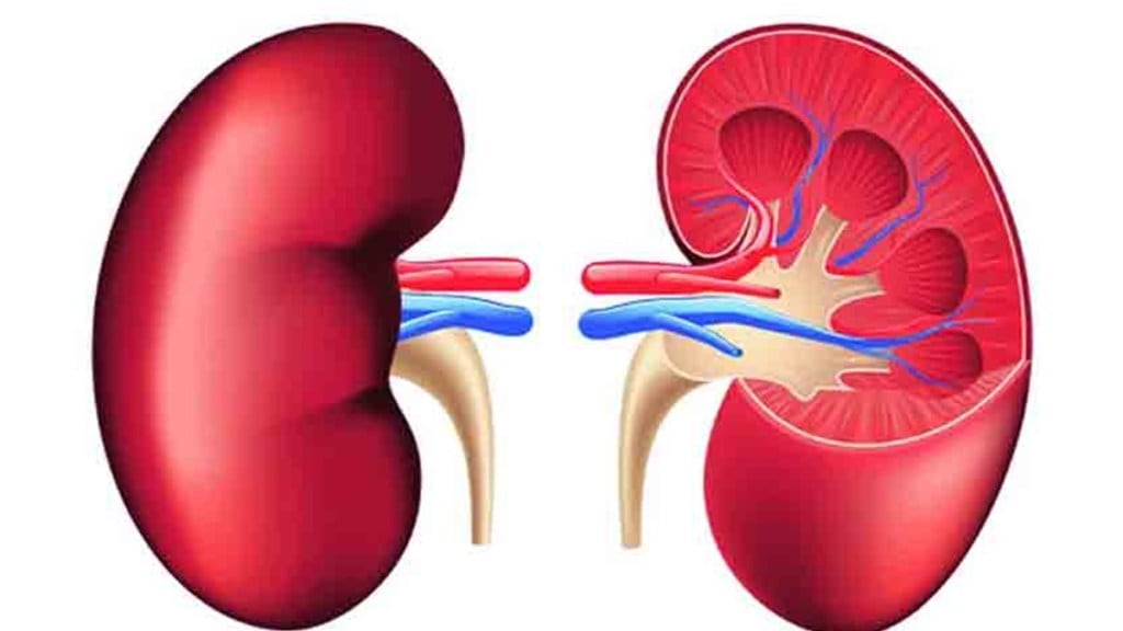 kidney transplantation marathi news, laparoscopy technology marathi news