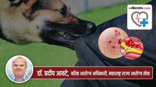rabies in marathi, how to prevent rabies in marathi, how to avoid rabies in marathi