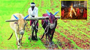 pune farmers marathi news, pune holi farmers marathi news, farmers disappointed on holi marathi news