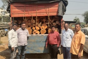 khair tree costing of rupees 50 lakhs