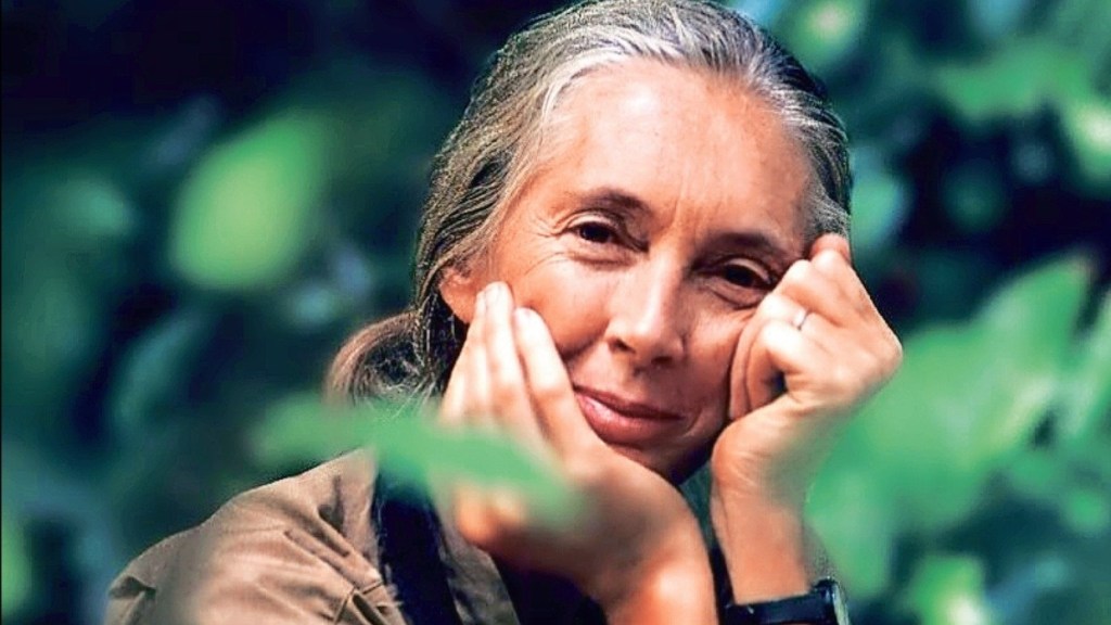 dr jane goodall, dr jane goodall marathi article,