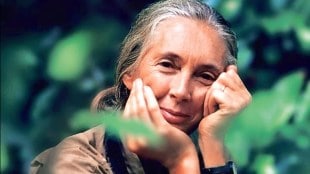 dr jane goodall, dr jane goodall marathi article,