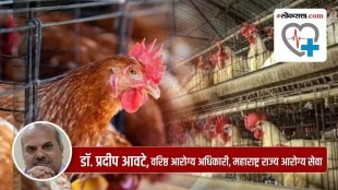 bird flu precautions in marathi, bird flu precautions marathi news
