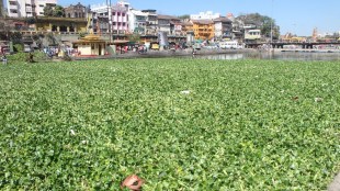 nashik, youth drowned, water of godavari