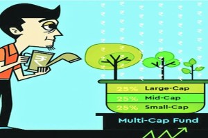 mutual fund, multi cap fund