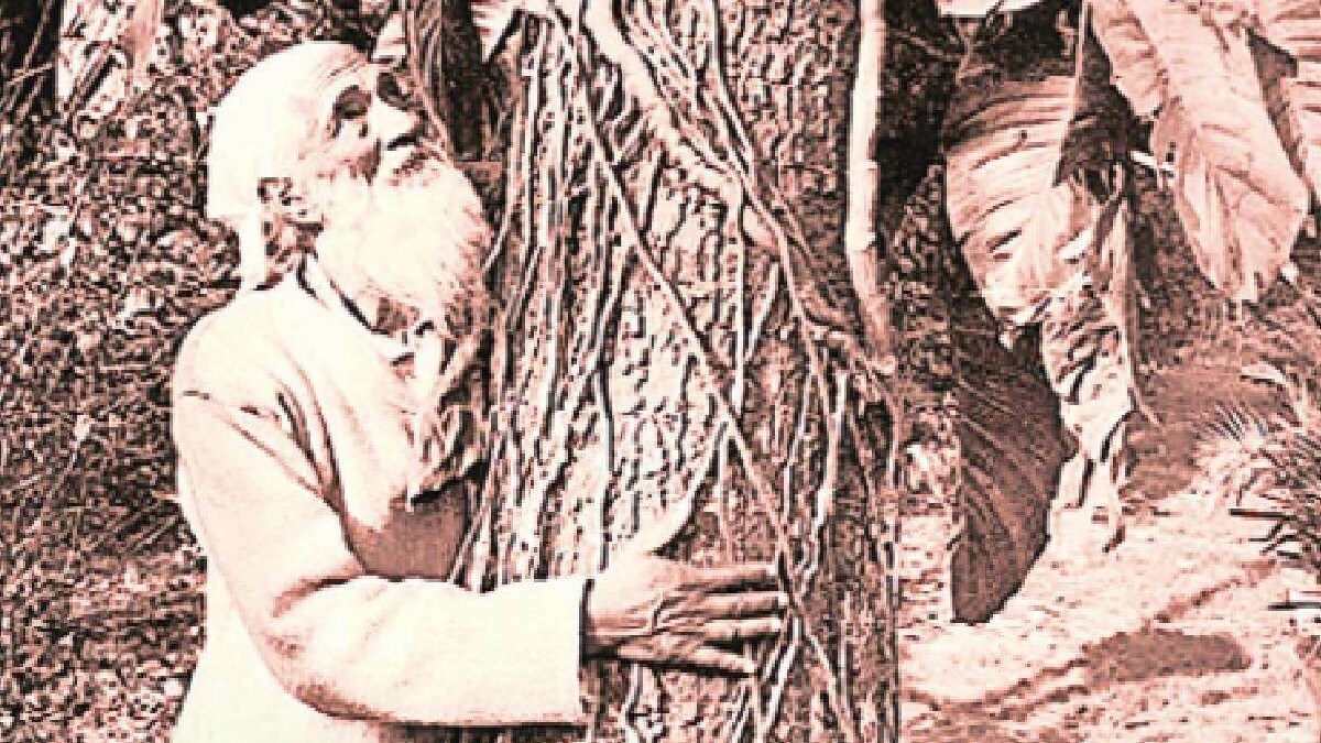 chipko movement, chipko movement lokrang article
