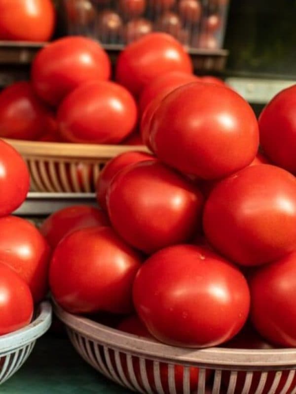 how to store tomatoes for long days
