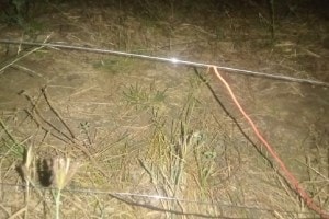 Death of mother and son due to contact with electric wire installed in the field in Boisar