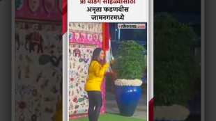 अनंत अंबानीची प्री वेडिंग; जामनगरमध्ये अमृता फडणवीसांचं आगमन | Amruta Fadnavis