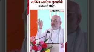 Amit Shah targeted the opposition over nepotism In Jalgaon