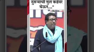 raj thackerays reactions on political situation in maharashtra state