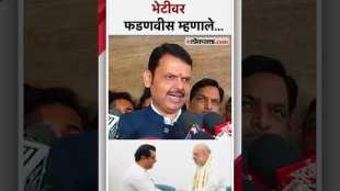 Devendra Fadnavis reaction on the Raj Thackeray Amit Shah meeting in Delhi