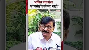 Seat sharing issue Sanjay Rauts criticism on Eknath Shinde and Ajit Pawar