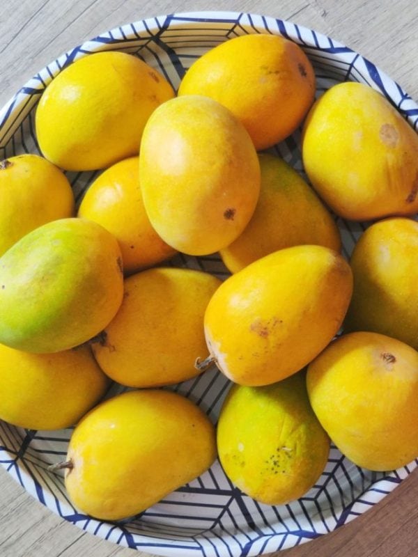 Mangoes in summer why mangoes should be soaked in water before eating habits health tips in gujarati