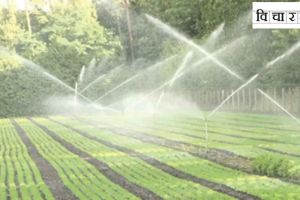 Why are we 50 years behind the world in the field of irrigation