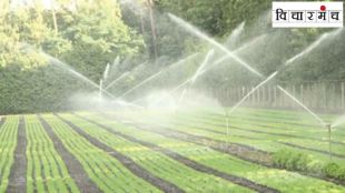 Why are we 50 years behind the world in the field of irrigation