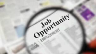 csir recruitment 2024 job opportunities at csir job vacancies in csir