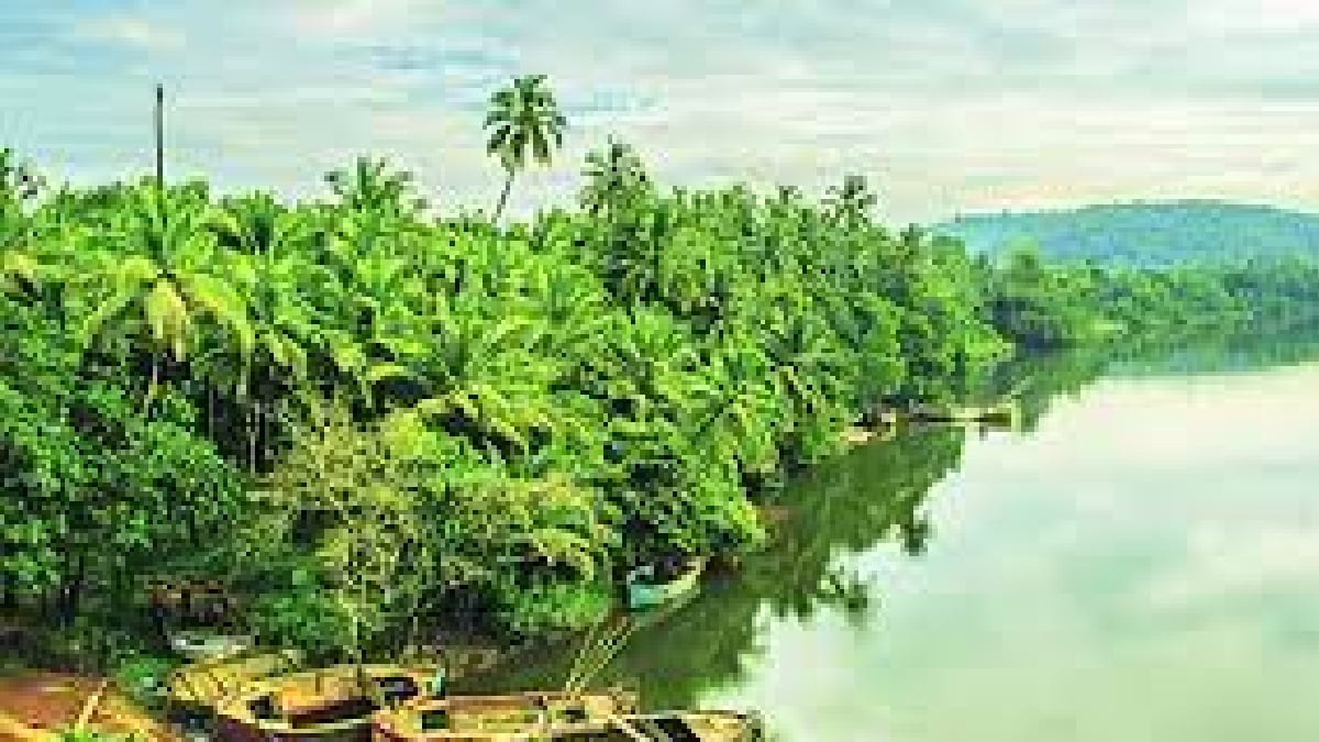 Loksatta anvyarth Appointment of CIDCO Authority by the State Government to plan the development of Konkan coast
