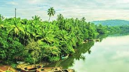 Loksatta anvyarth Appointment of CIDCO Authority by the State Government to plan the development of Konkan coast