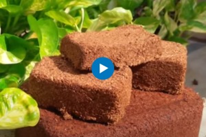 Use coco peat to flower your home garden